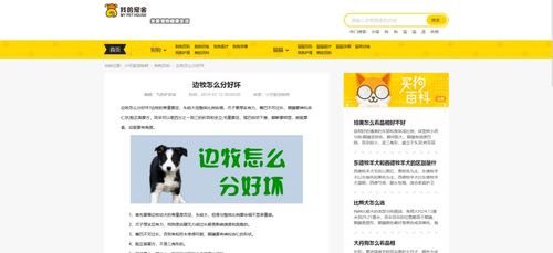 帝國cms 貓貓狗狗寵物網(wǎng)wap pc雙端自適應(yīng)模板