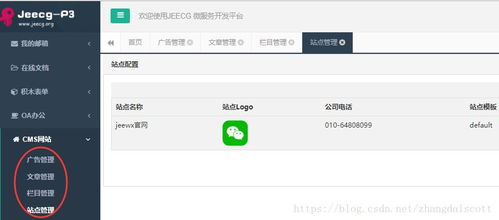 建站神器 cms網(wǎng)站插件 jeecg p3 biz cms 發(fā)布