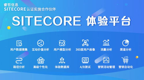 睿哲信息揭秘 榮登gartner的sitecore如何打造個性化購物體驗